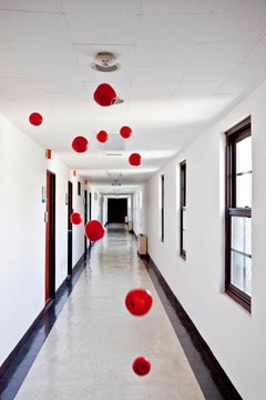 Gravity n°02 Jun Ahn, Photographie, Pomme, Abstrait, Nature, Suréalisme