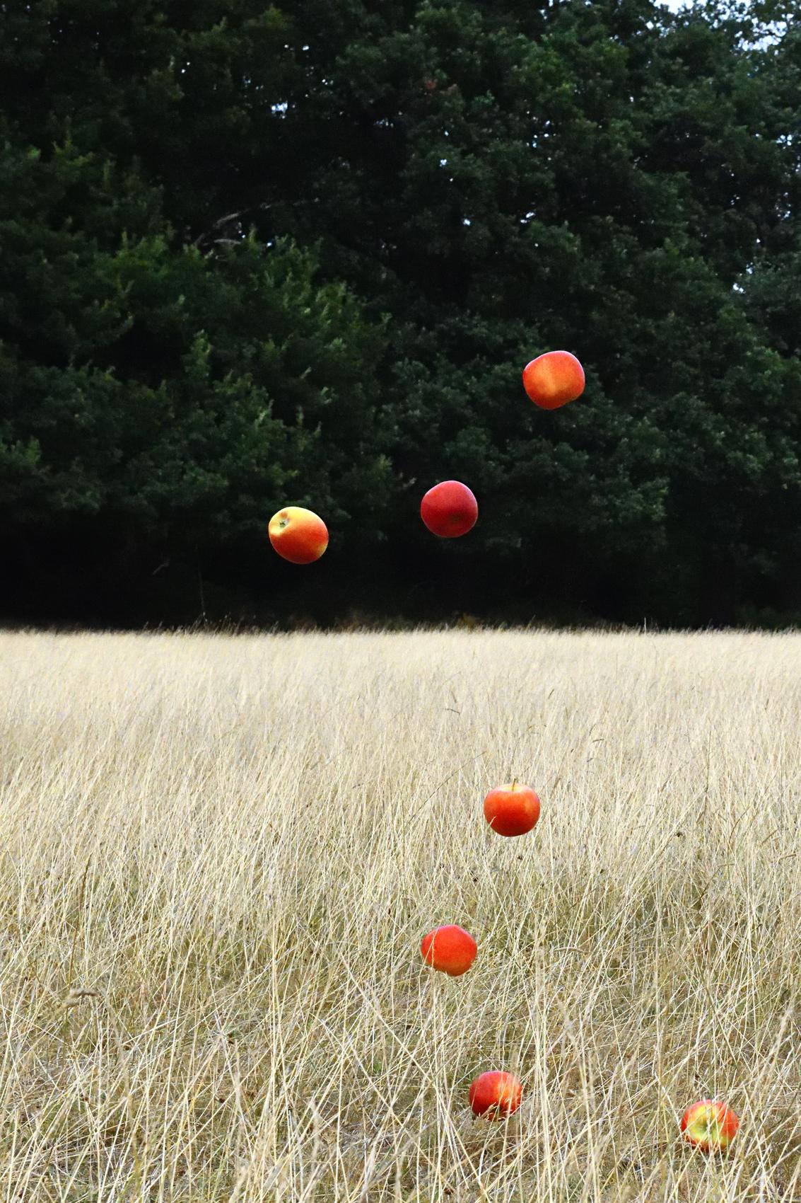 Jun AHN (*1981, Südkorea)
One Life (2018) #020
2018
HDR-Ultrachrom-Archivpigmentdruck 
Vorderseite auf Acryl (Diasec) in Holzrahmen montiert 
Bild 152,4 x 101,6 cm (60 x 40 in.)
Blatt 154,7 x 103,9 cm (60 7/8 x 40 7/8 in.)
Rahmen 158,5 x 107,7 x 3,8