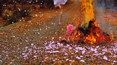 Self Portrait – Jun Ahn, Photography, Fire, Woman, Petals Asia, Art