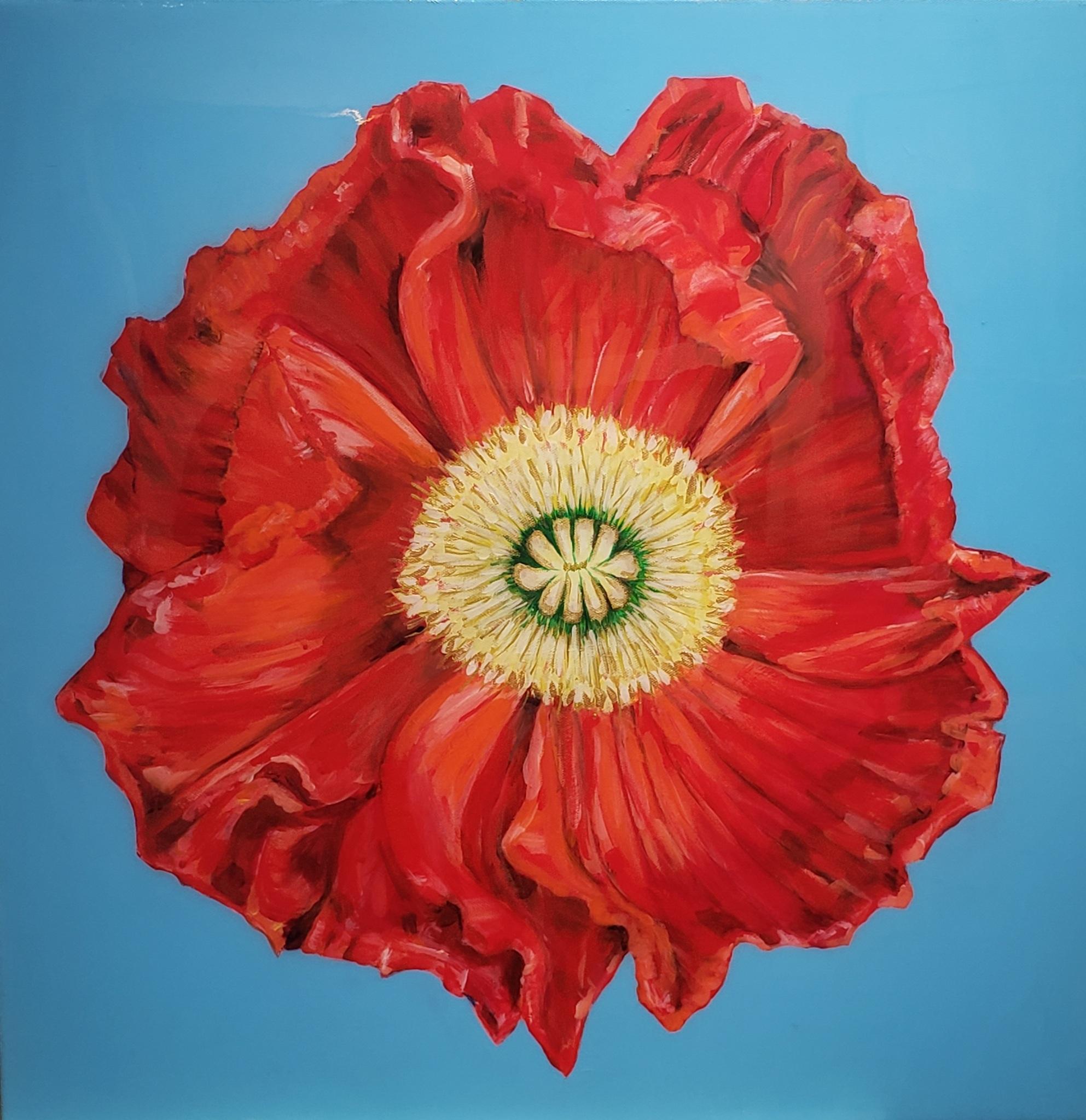African Poppy, Realism, Acrylic w/Resin, Floral Painting, Gallery Wrap 