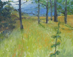 Campo lontano da Westmond Road, Pittura, Acrilico su tela