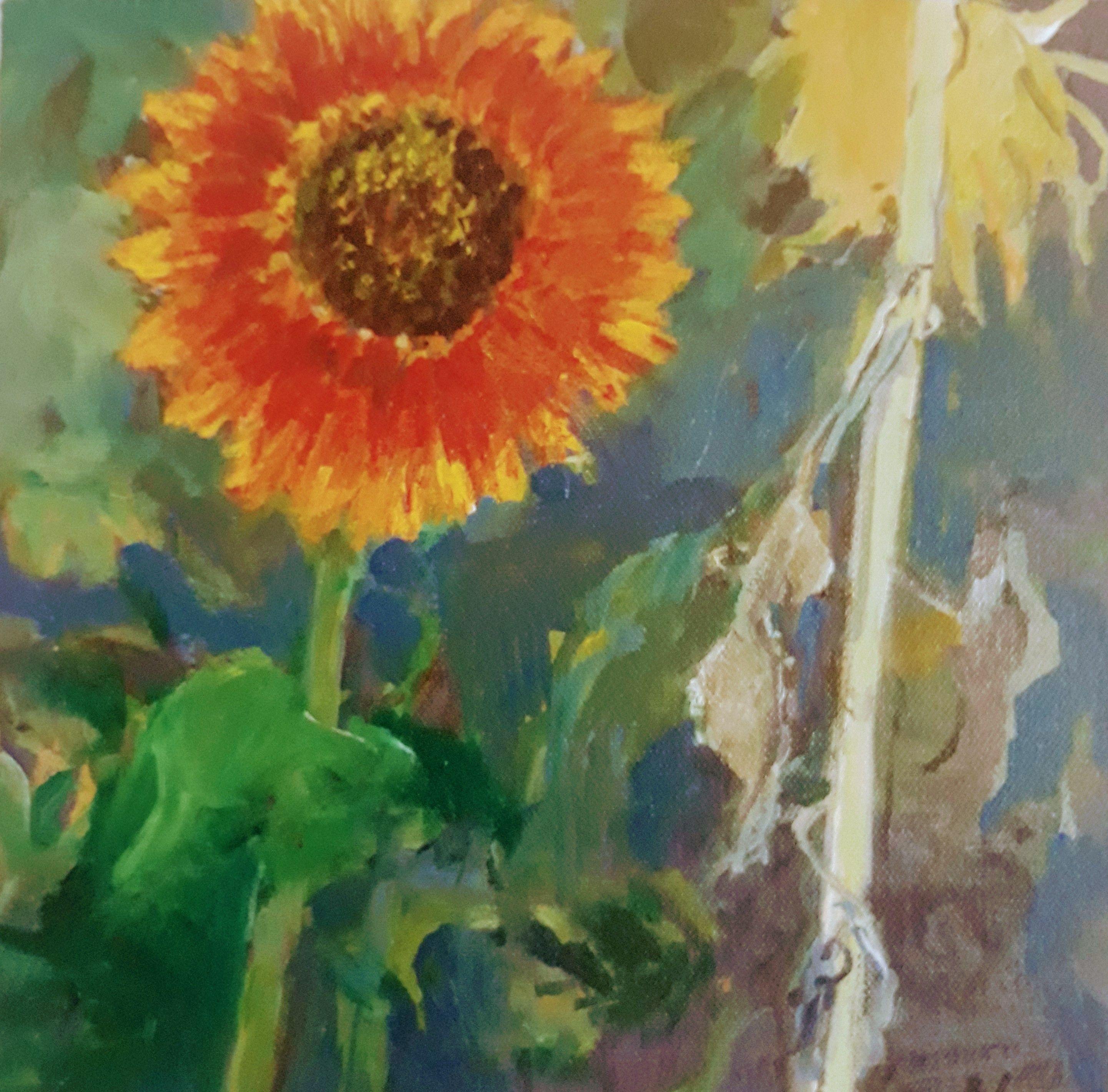 Abstract Painting di June Johnson - "Girasole e gambo", Pittura, Acrilico su tela