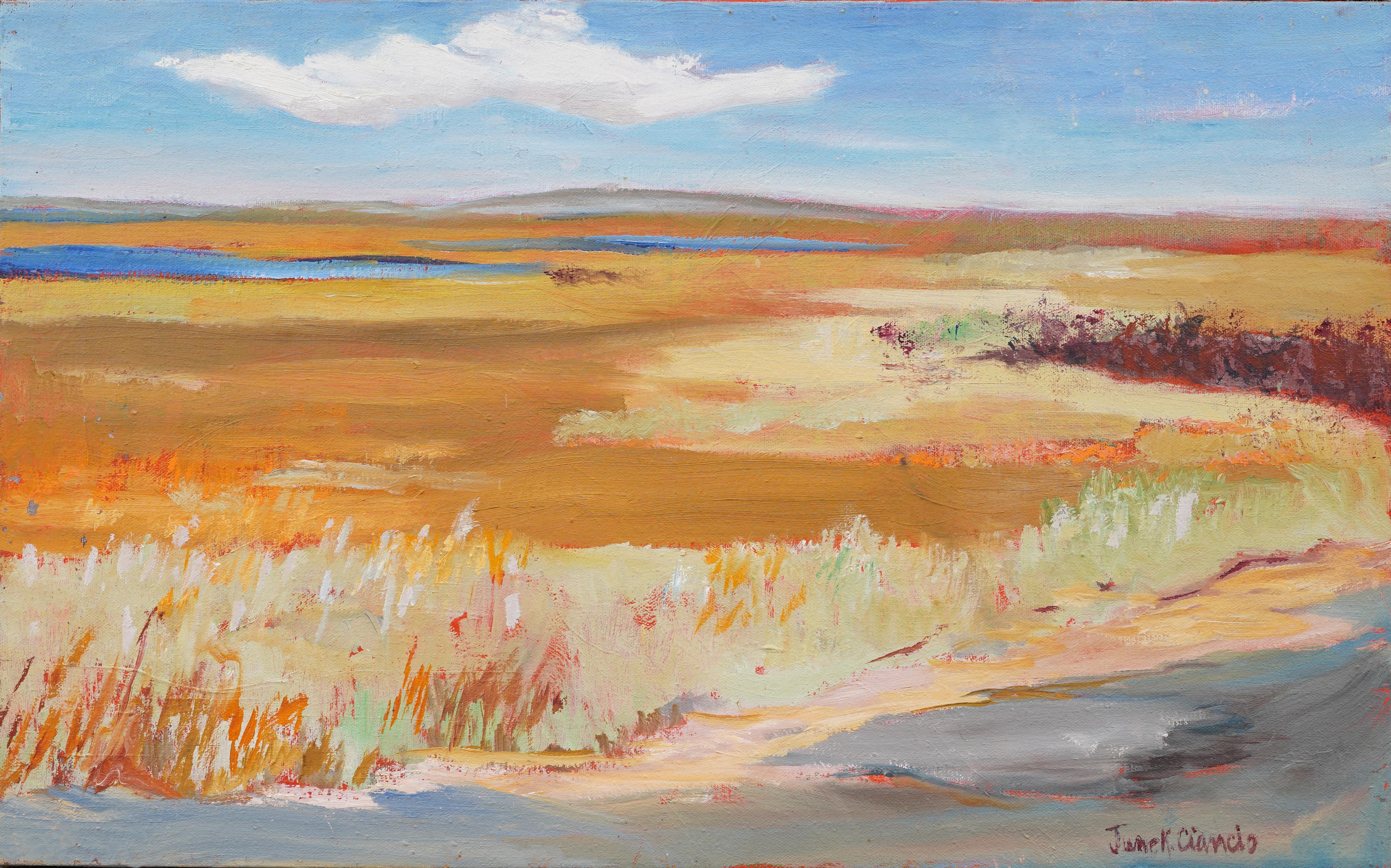 Schön gemaltes abstraktes Ölgemälde einer Landschaft aus der Mitte des Jahrhunderts von June Kirkpatrick Ciancio (geb. 1926).  Tolle Farbe und Komposition.  Gerahmt.  