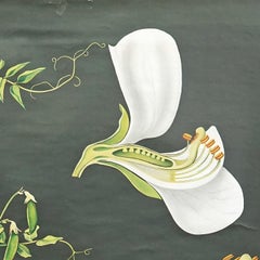 Jung Koch Quentell Cottagecore Vintage Wall Chart Botanic Pea