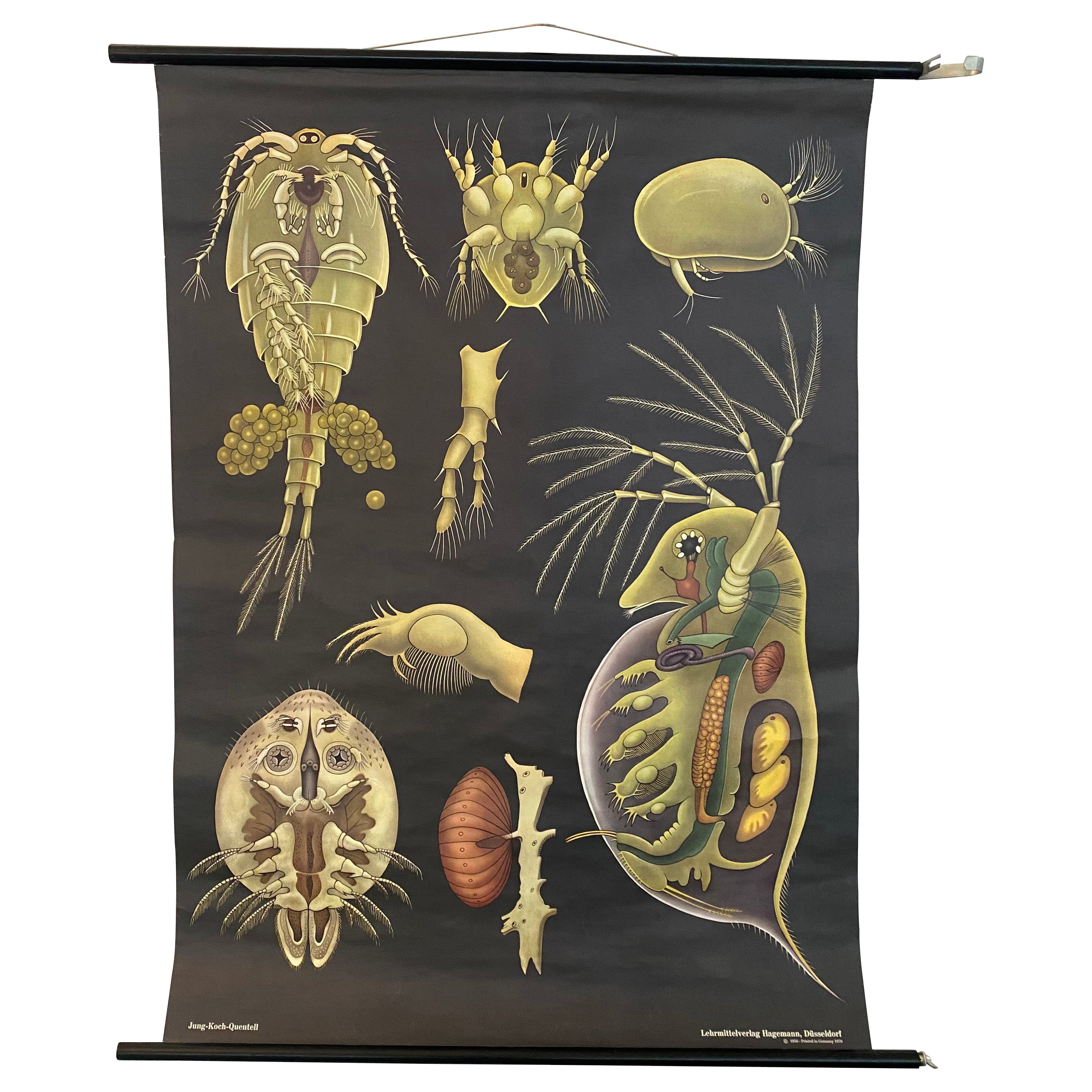 Schoolhouse Wall Decorations