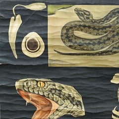 Jung Koch Quentell Old Print Mural Rollable Wall Chart Poster Snake Serpent