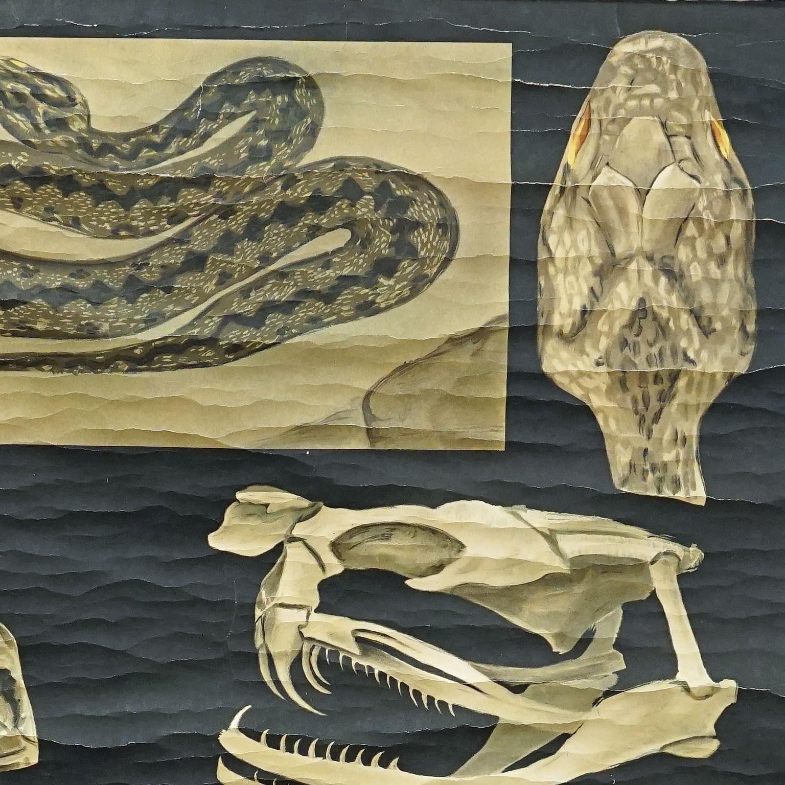 Jung Koch Quentell Wandtafelplakat mit altem Druck, Rollbar, Schlangenschlange (Land) im Angebot