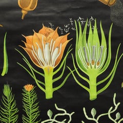 Jung Koch Quentell Vintage Country Style Rollable Wall Chart Mural Hair Moss