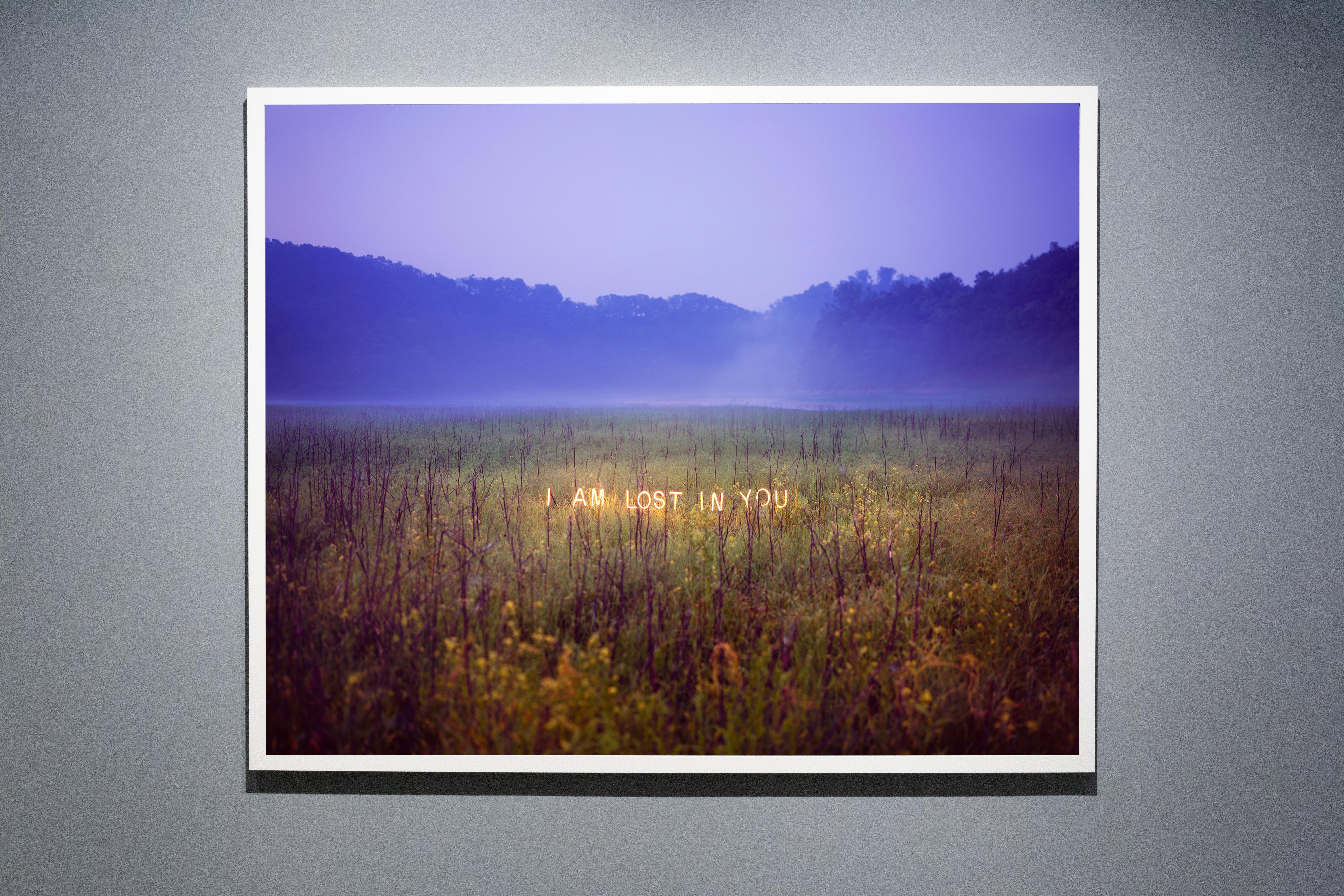 I Am Lost In You, aus der Serie „Aporia“ Jung Lee, Neon, Licht, Natur, Kunst 5