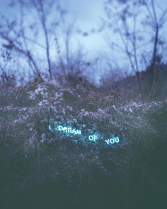 I Dream Of You – Jung Lee, Neon, Text, Installation, Symbole, Nature