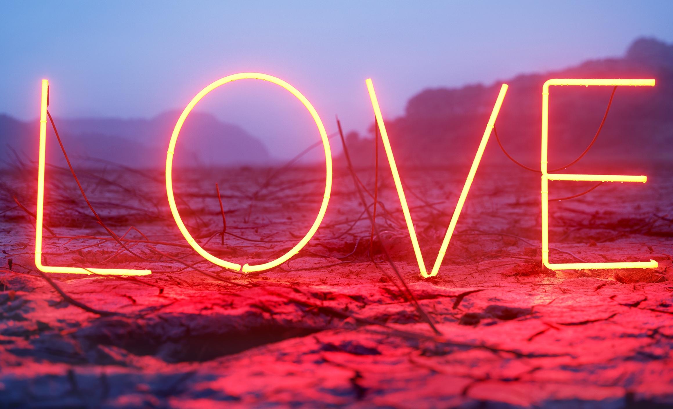 LOVE #1 – Jung Lee, Neon, Text, Installation, Symbol, Art, Nature For Sale 1