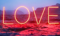 LOVE #1 – Jung Lee, Neon, Text, Installation, Symbol, Art, Nature