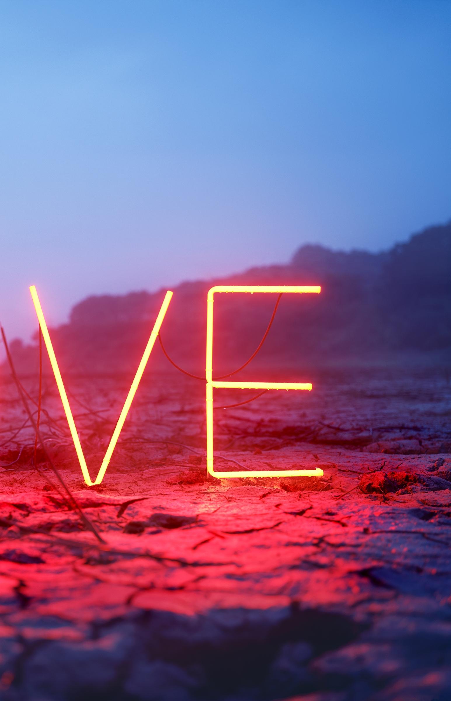 LOVE #1 – Jung Lee, Neon, Text, Installation, Symbol, Art, Nature For Sale 3