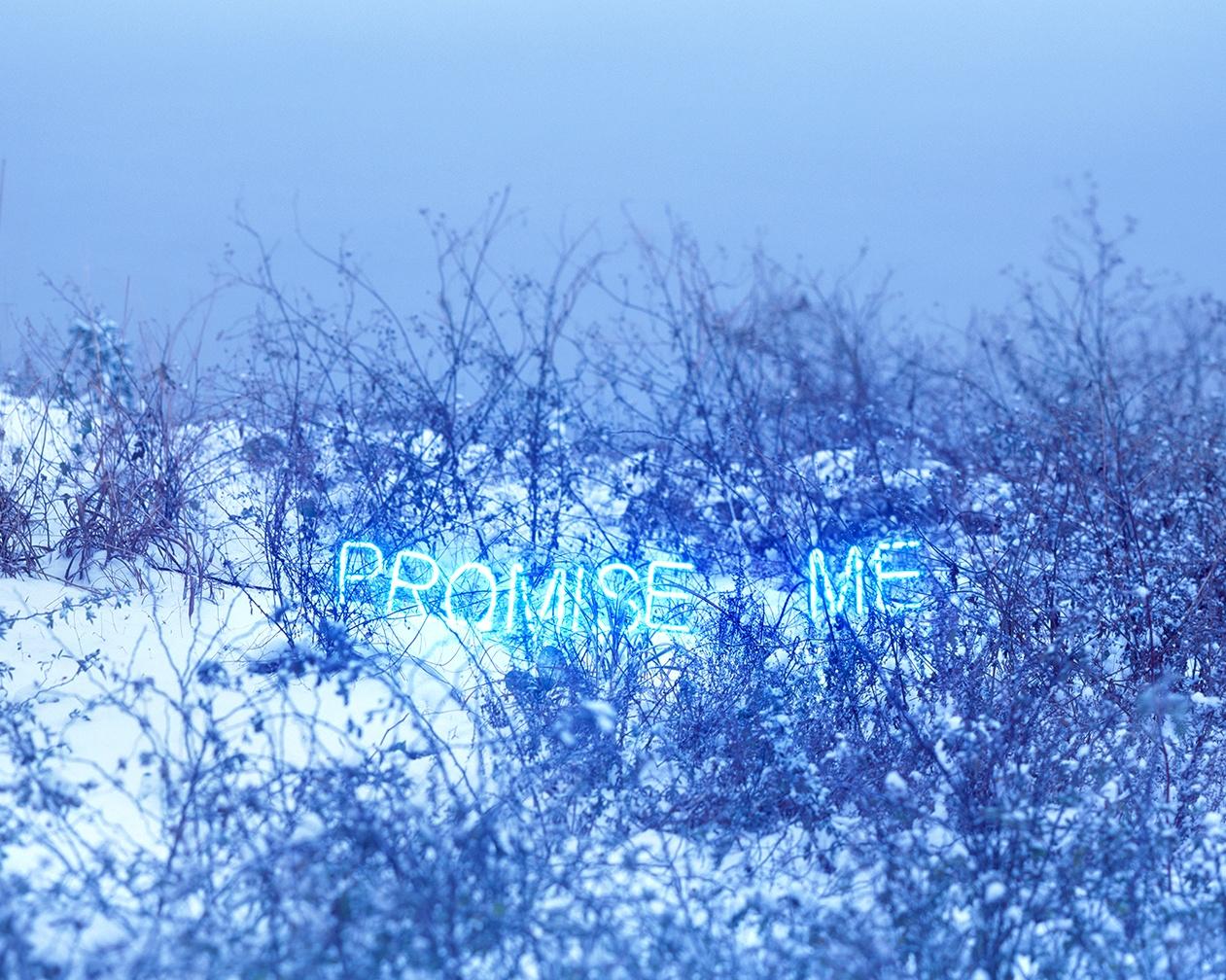 Promise Me  Jung Lee, Neon, Text, Installation, Symbole, Nature, Paysage en vente 1