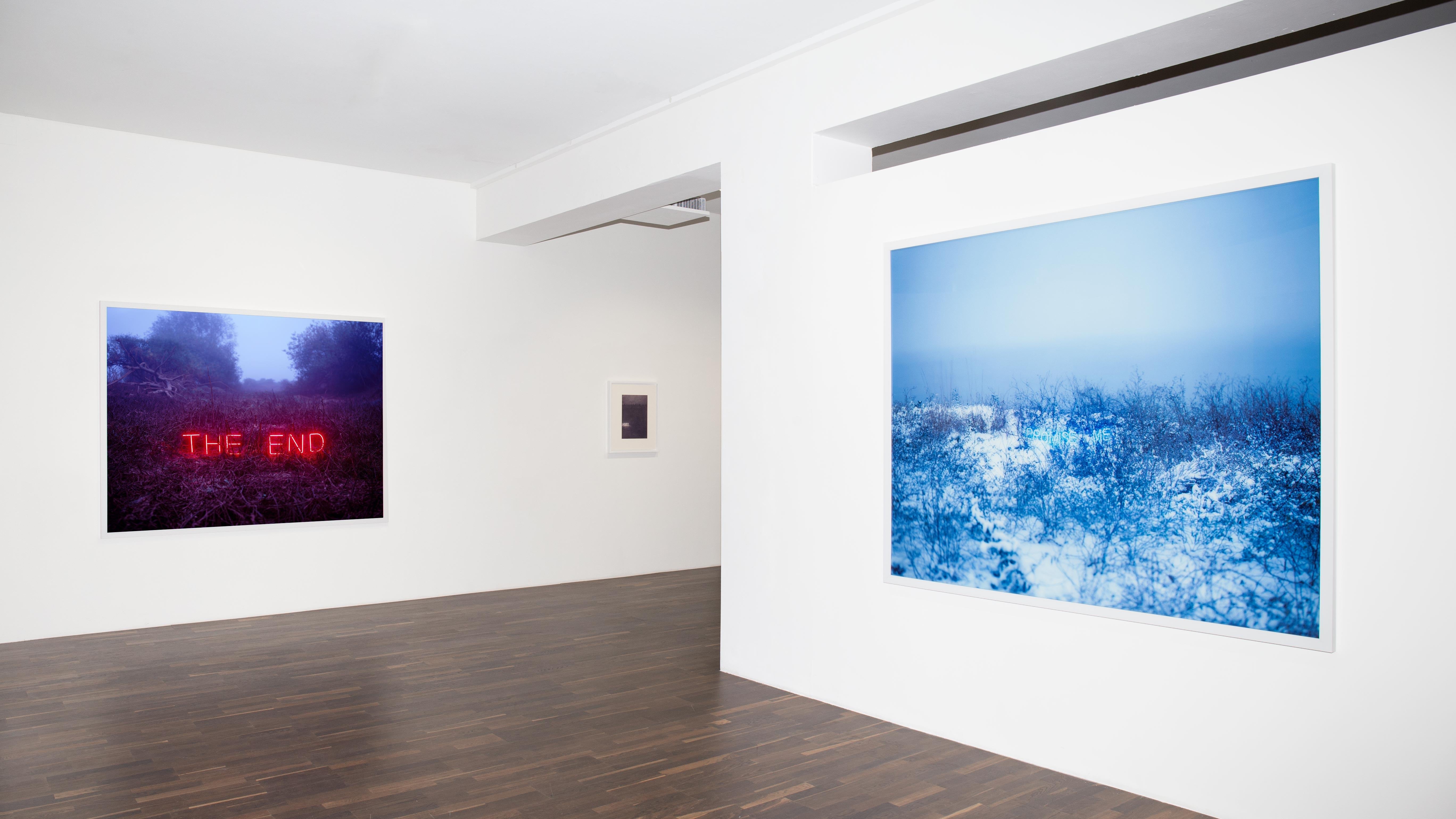 Promise Me  – Jung Lee, Neon, Text, Installation, Symbole, Nature, Landscape For Sale 2