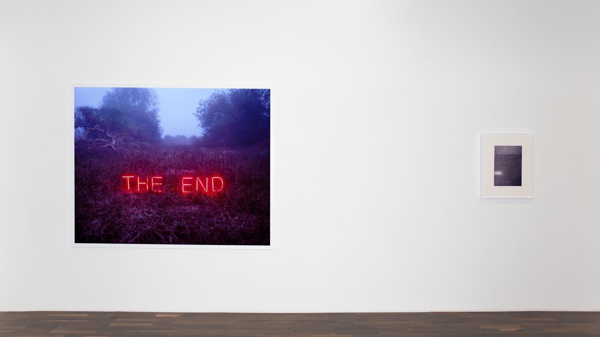 The End #2 – Jung Lee, Neon, Text, Installation, Symbole, Nature, Landscape For Sale 2