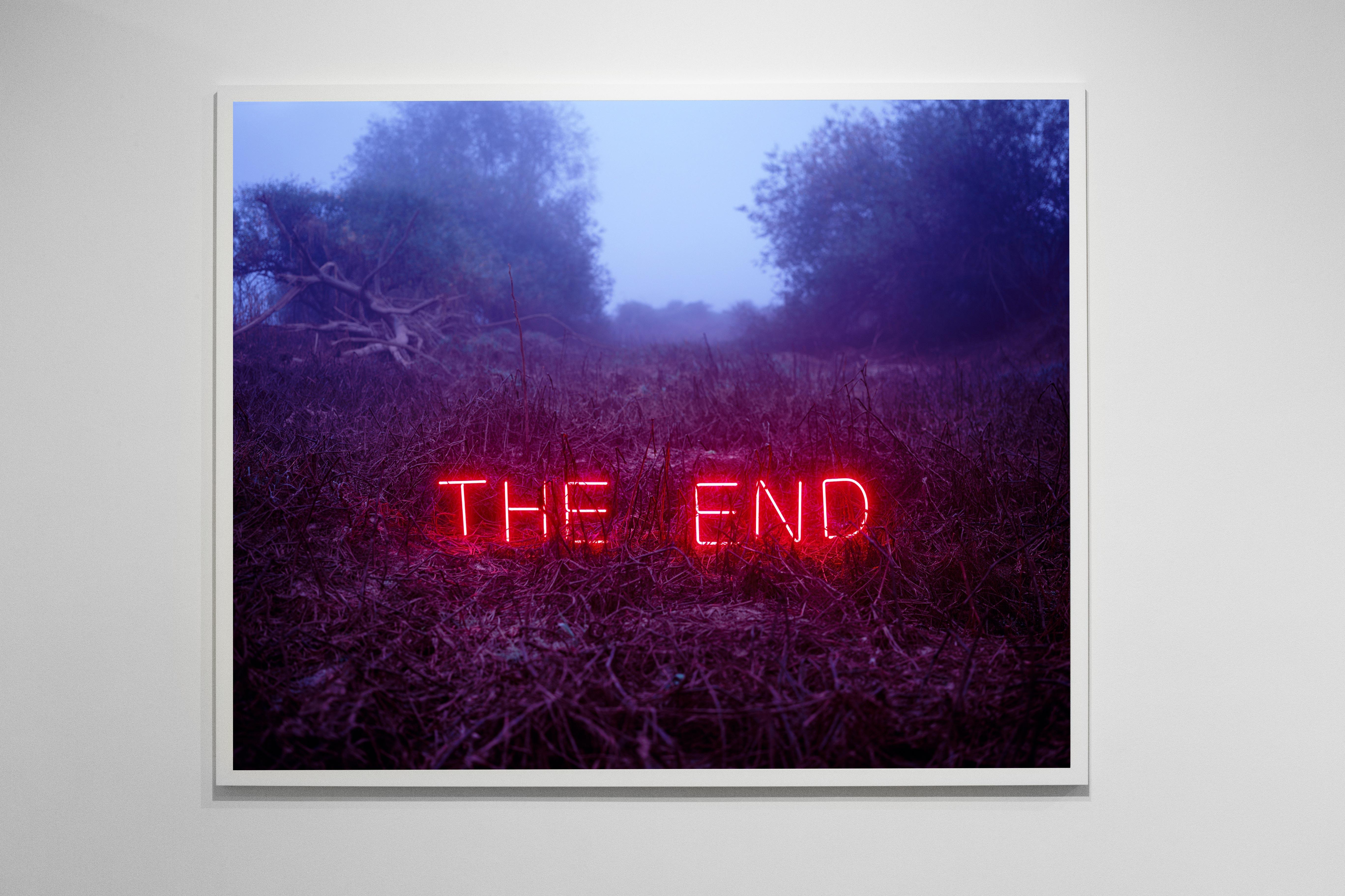 The End #2 – Jung Lee, Neon, Text, Installation, Symbole, Nature, Landscape For Sale 3