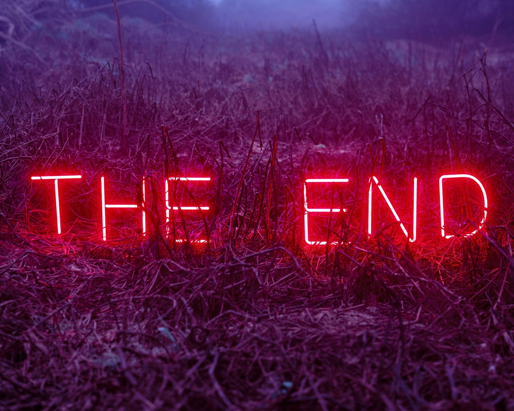 The End #2 – Jung Lee, Neon, Text, Installation, Symbole, Nature, Landscape For Sale 1