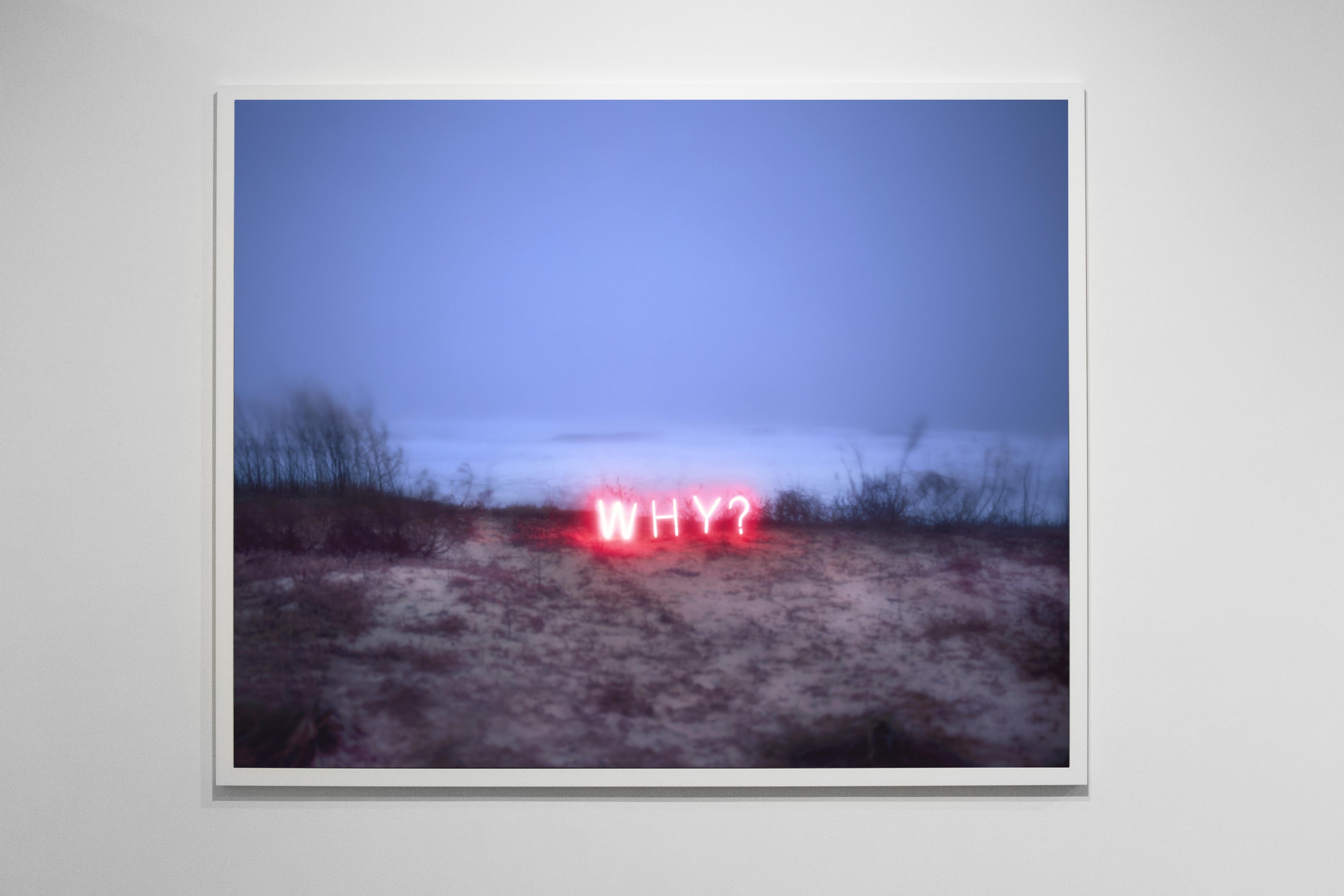 Why?#3, From the Series 'Aporia' – Jung Lee, Neon, Light, Landscape, Nature, Art For Sale 2