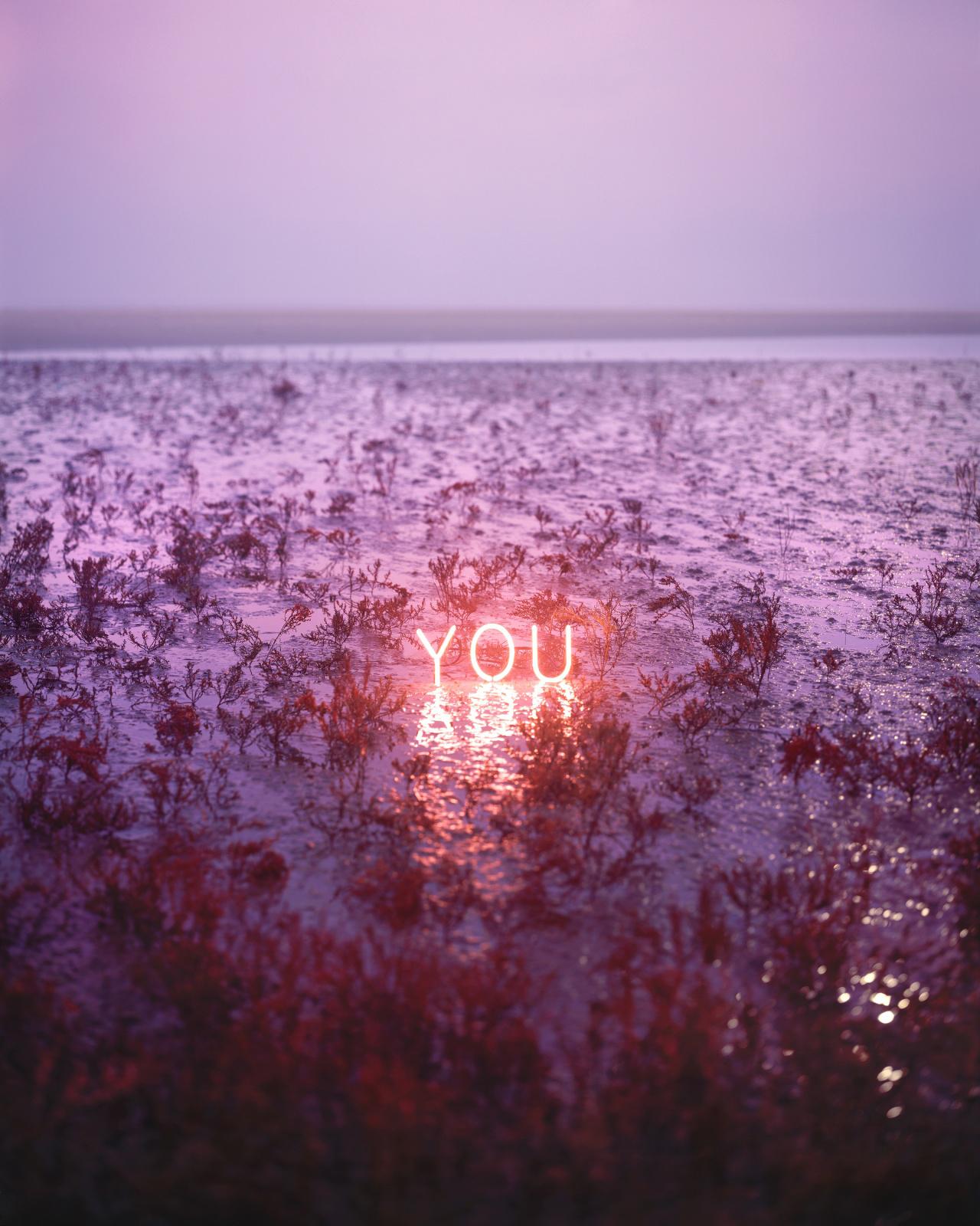 Vous #2 Jung Lee, Neon, Text, Installation, Symbole, Nature