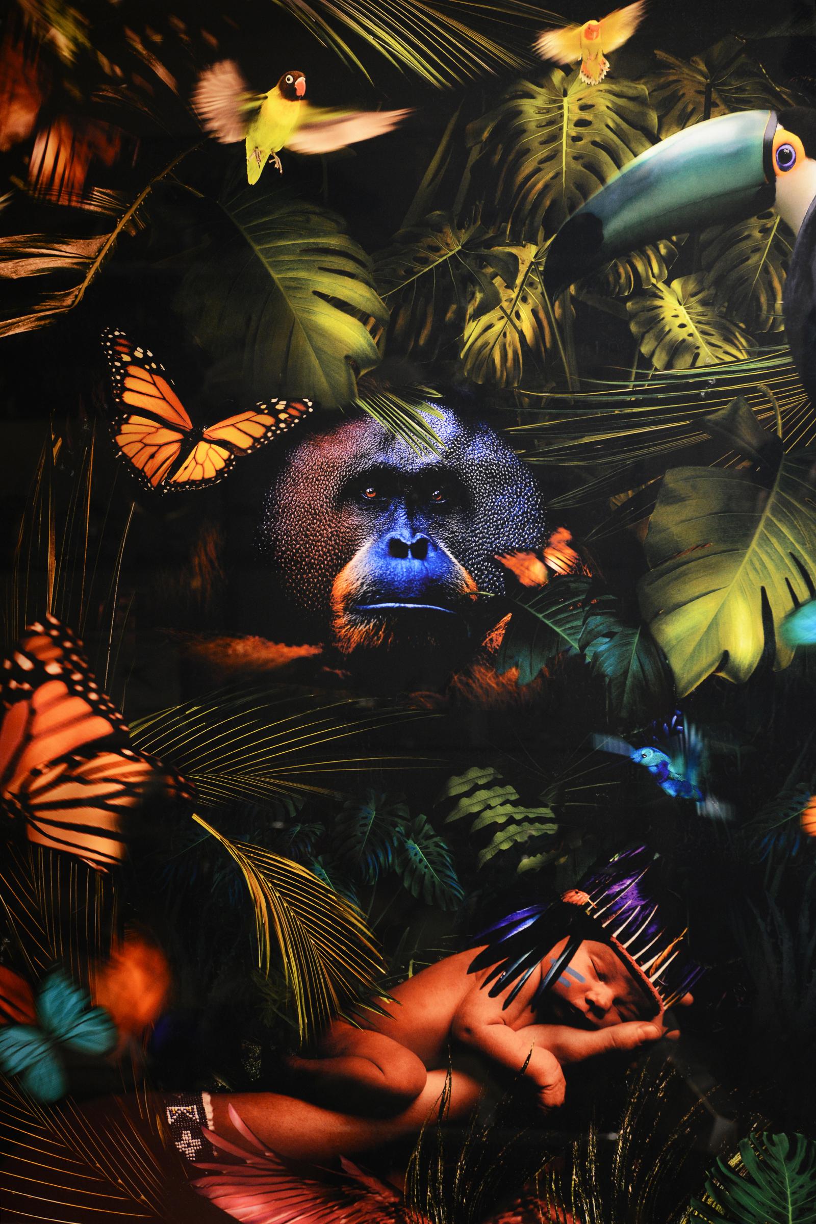 Wall Decoration Jungle Birth Plexiglass photo.
With aluminium frame included at the back 
with hanging system.