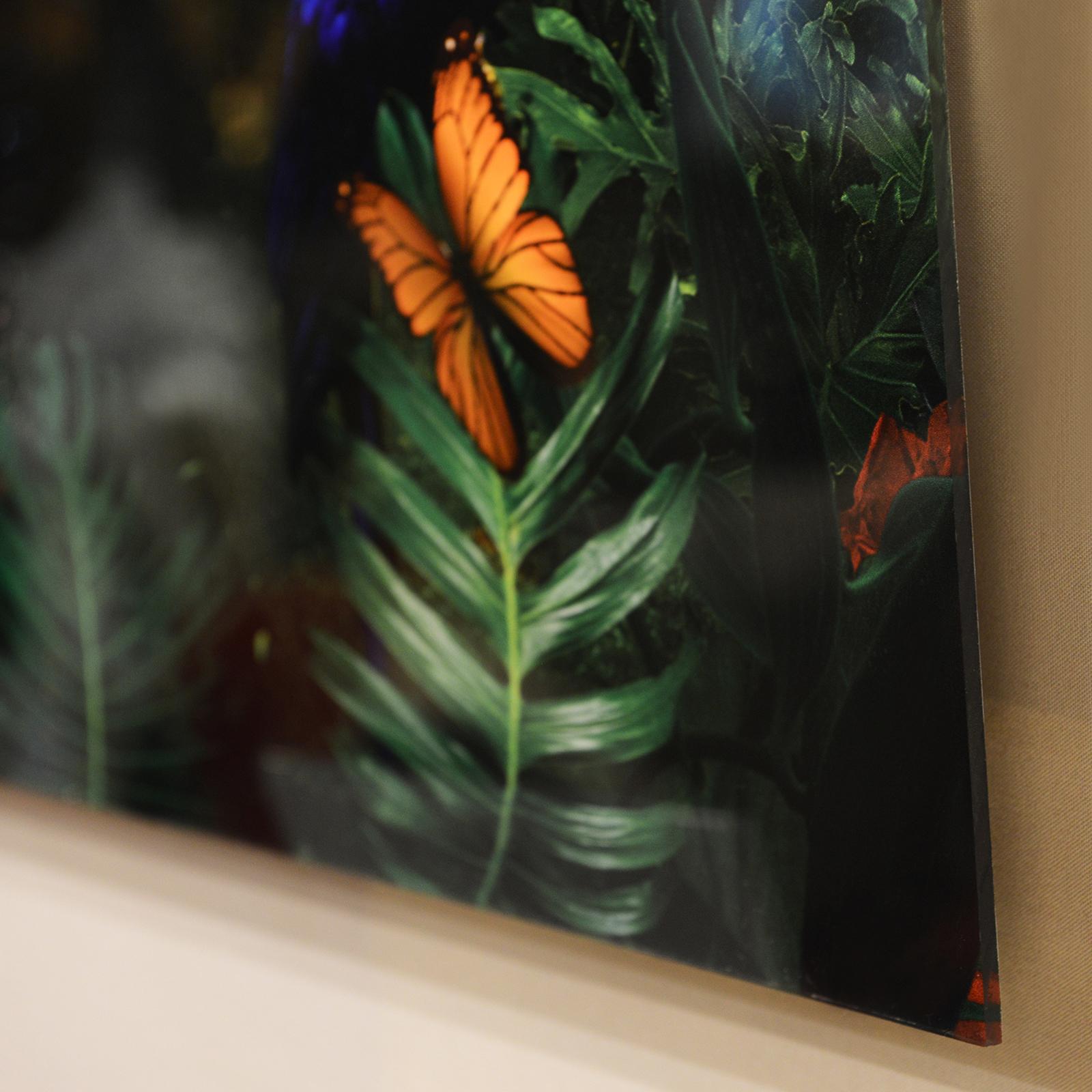 Plexiglass Decorazione murale in plexiglass della nascita della giungla in vendita