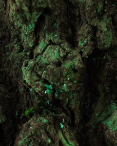 "Jungle", Limited Edition, Abstract Photography by Marko Milić