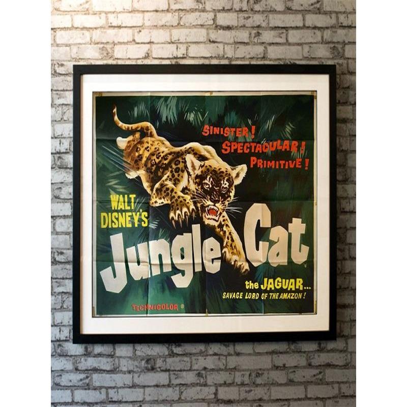 Jungle Cat, Unframed Poster, 1960

Original British Quad (30 X 40 Inches). Original quad movie poster for Walt Disney's 1959 documentary JUNGLE CAT.

This documentary chronicles the life of a female spotted jaguar in the South American