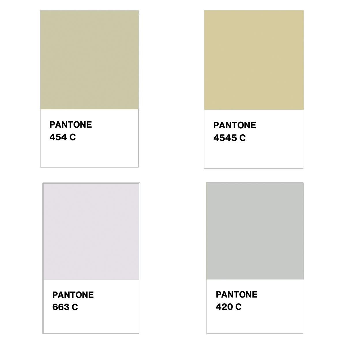 pantone 4545 c