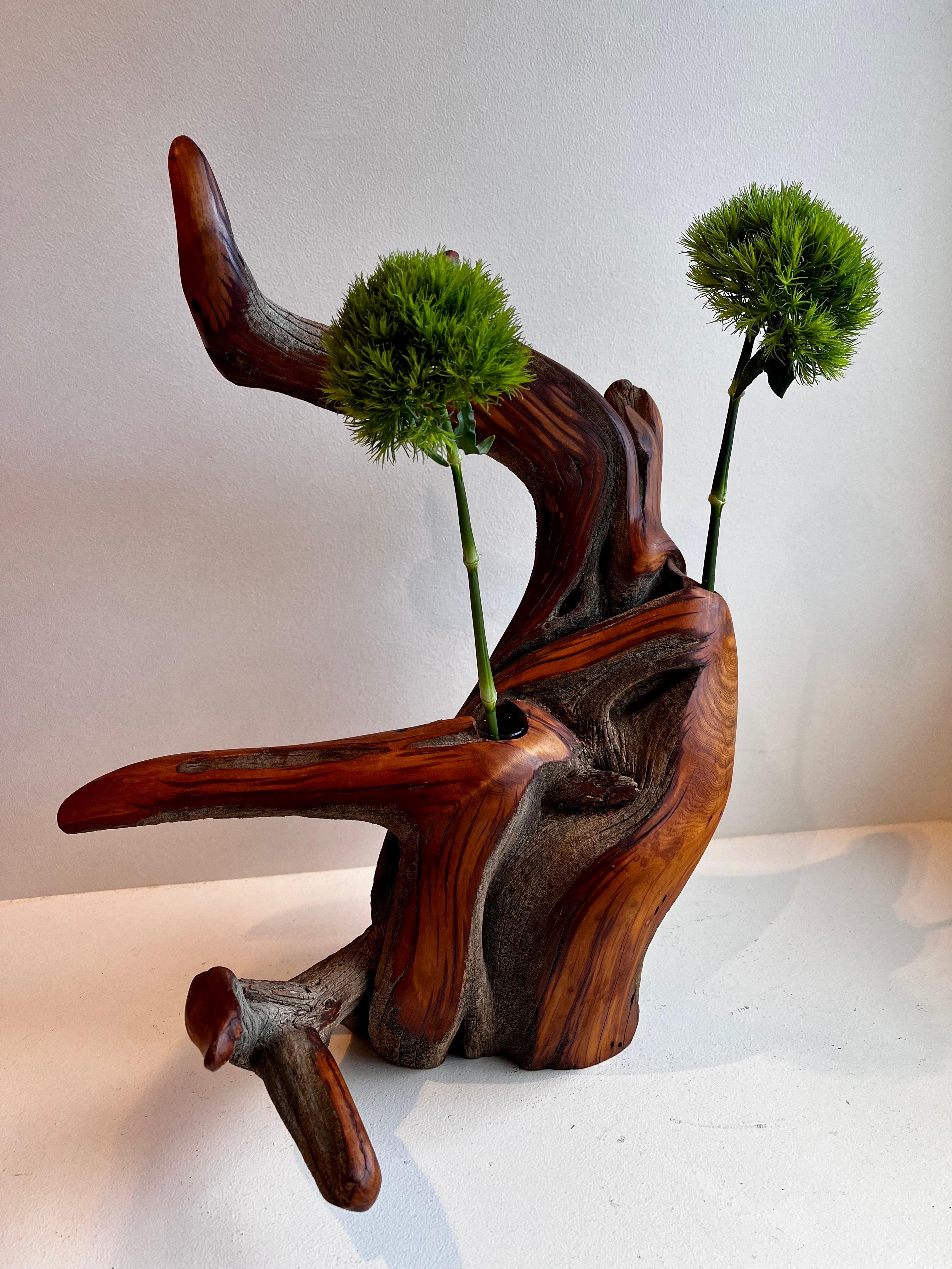 Vaso per boccioli in Wood Juniper in vendita 12