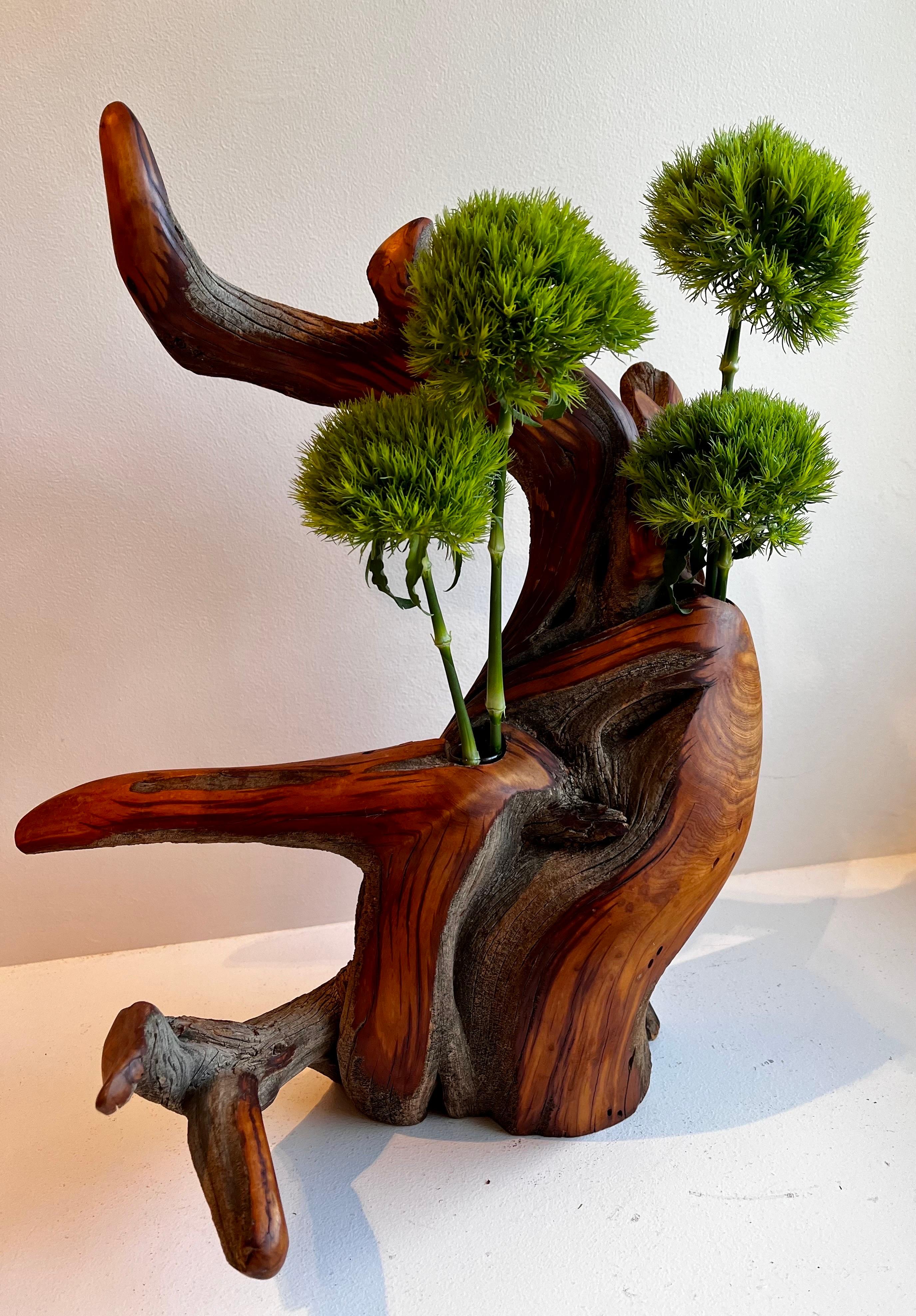Americano Vaso per boccioli in Wood Juniper in vendita