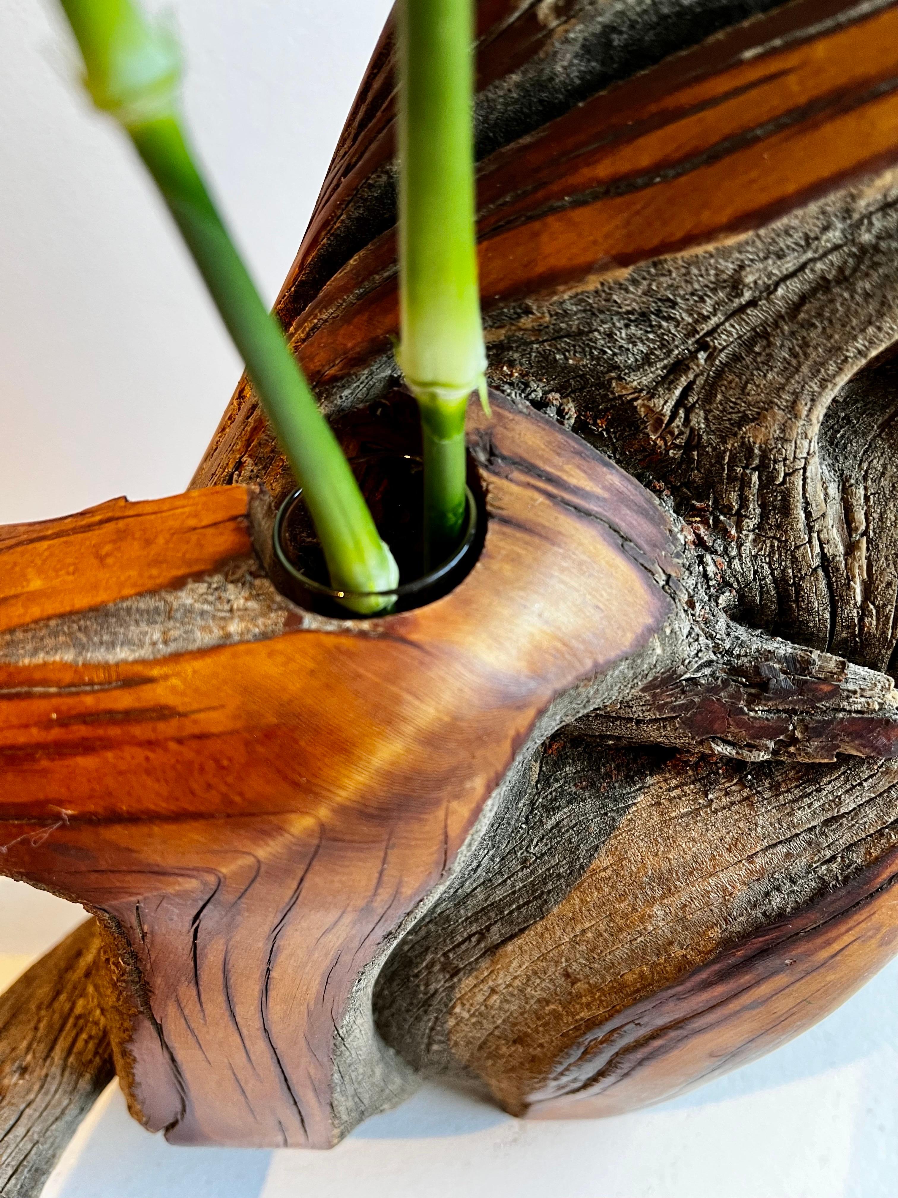 Vaso per boccioli in Wood Juniper in vendita 1