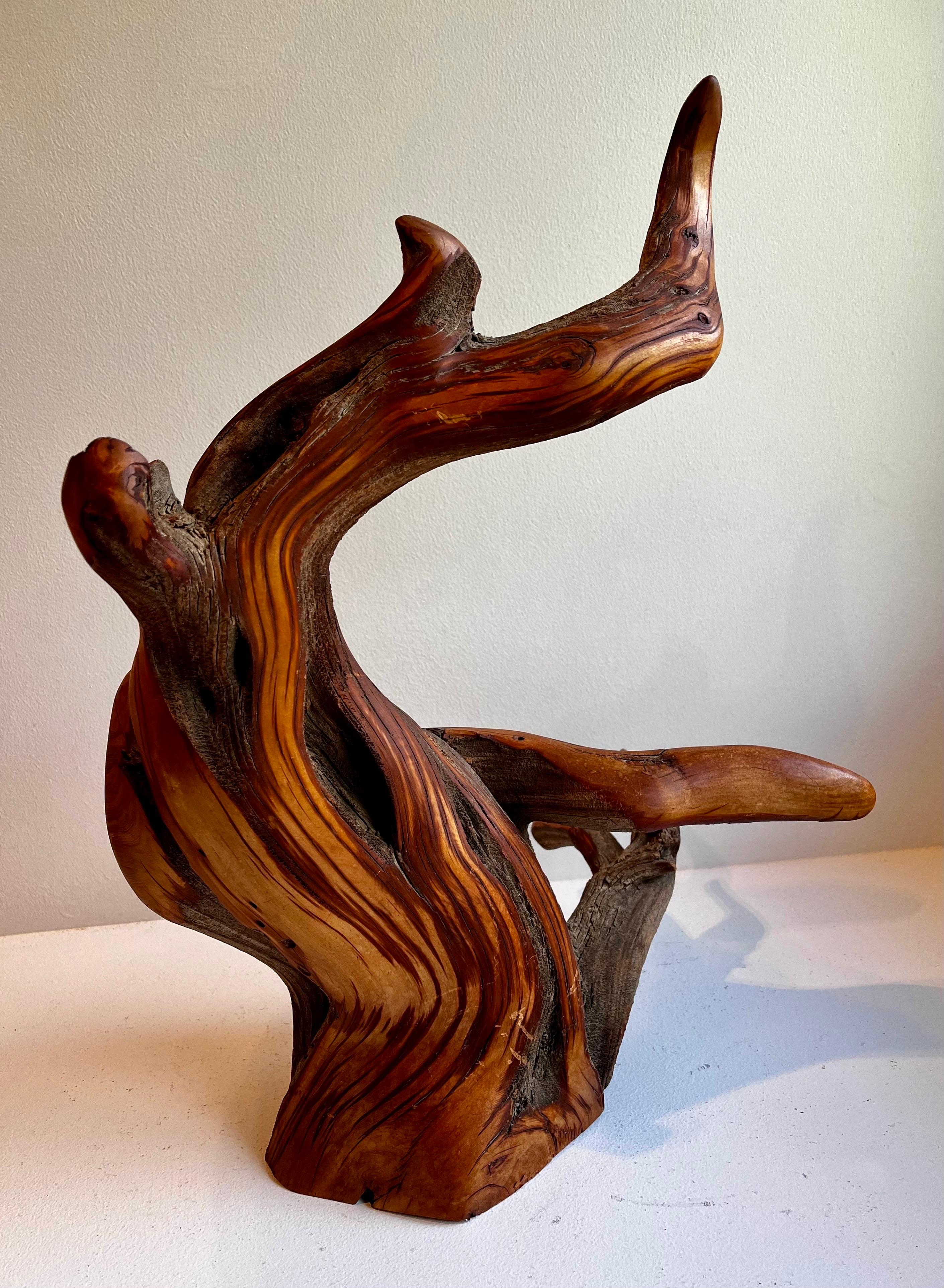 Vaso per boccioli in Wood Juniper in vendita 2