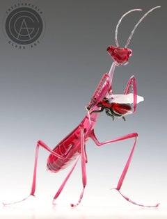 Pink Preying Mantis