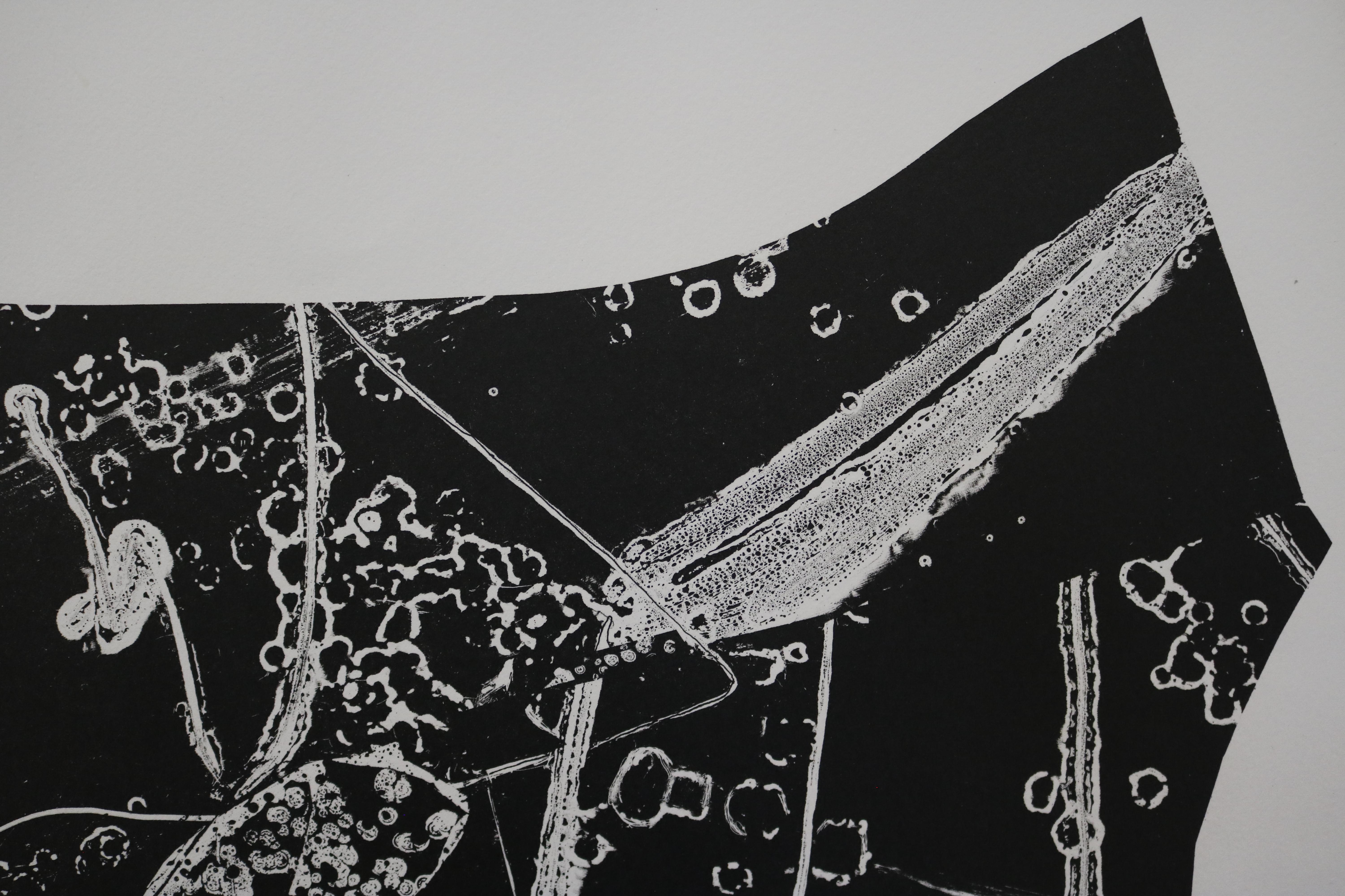 Jupiter Tujo Schwarz-Wei-Abstrakte Lithographie, signiert von L. Siekman im Zustand „Hervorragend“ im Angebot in Pasadena, CA