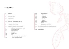 Océanos Jurásicos - Solnhofen, Stefano Piccini Bespoke Nature Edición Coleccionista