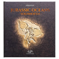 Océanos Jurásicos - Solnhofen, Stefano Piccini Bespoke Nature Edición Coleccionista