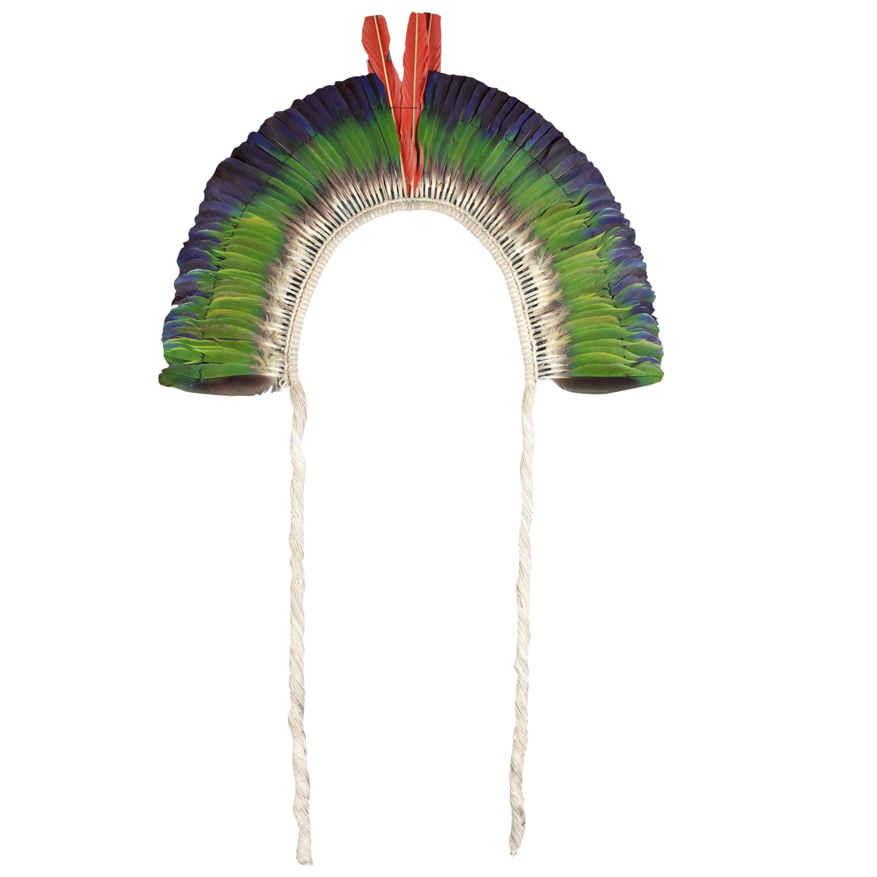 Juruna Tribe Feather Headdress For Sale 