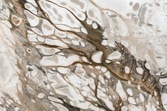 Lake Study #4, California, USA Contemporary, Abstract, Aerial Photograph