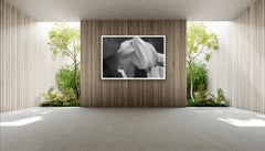 Sneh #45, Niseko, Japan black and white, contemporary, abstract photograph