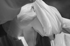 Sneh #45, Niseko, Japan black and white, contemporary, abstract photograph