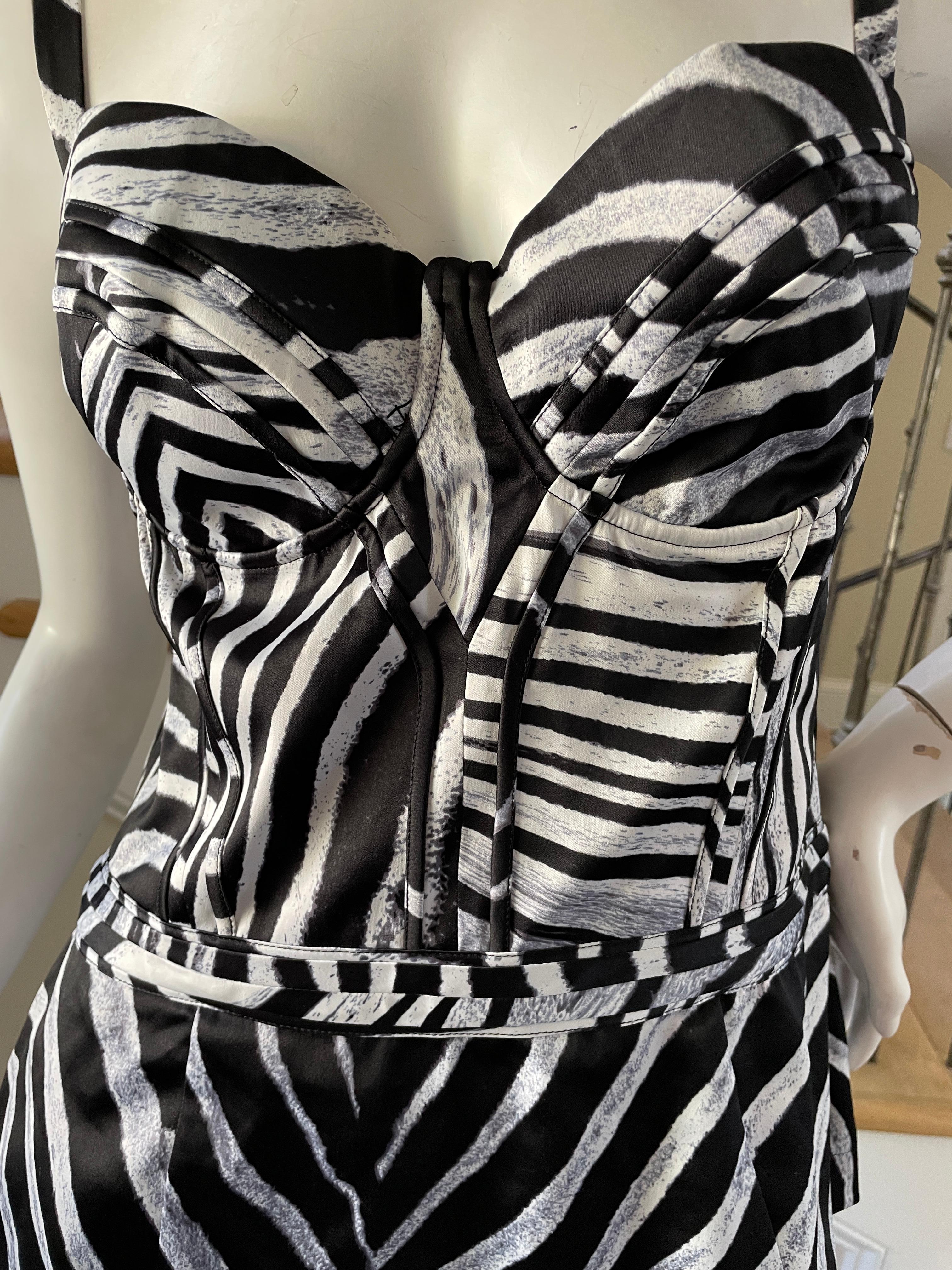 zebra corset