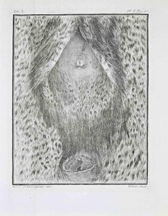 Anatomical Study – External Genitalia of .. - Etching by Juste Chevillet - 1771