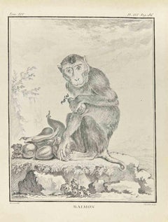 Maimon - Gravure de Juste Chevillet - 1771