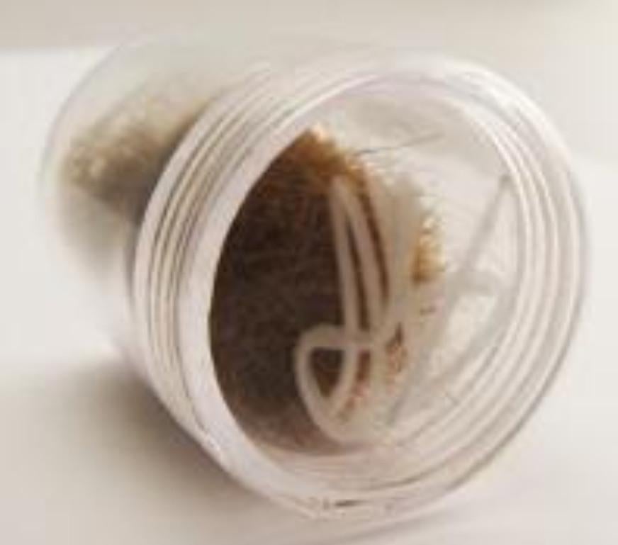 justin bieber's hair for sale