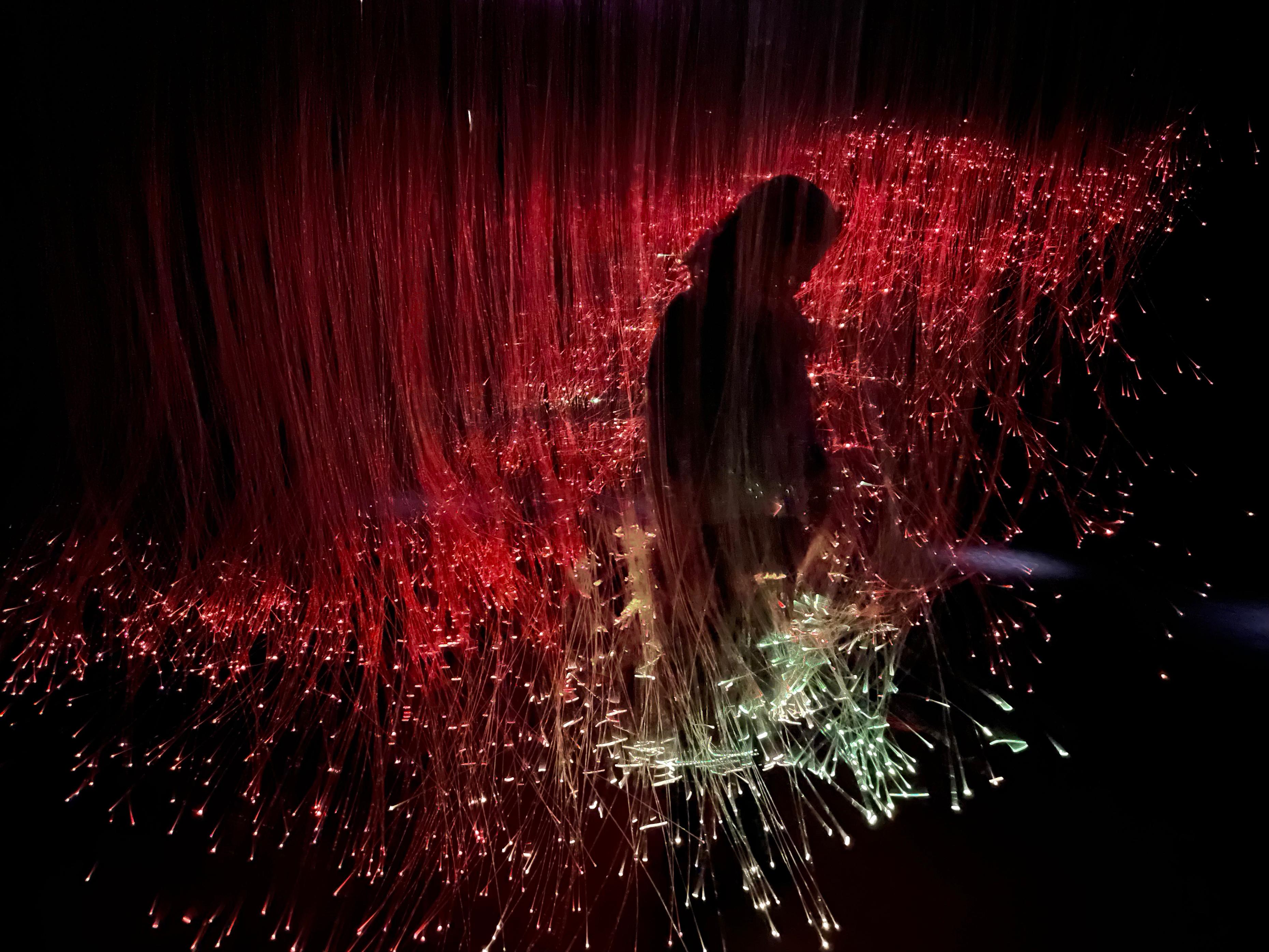 Animate Field présente un champ de filaments de fibres optiques suspendus qui forment une masse volumétrique dans laquelle les participants peuvent physiquement entrer et se déplacer.
					
Les extrémités des filaments, éclairées en rouge, sont