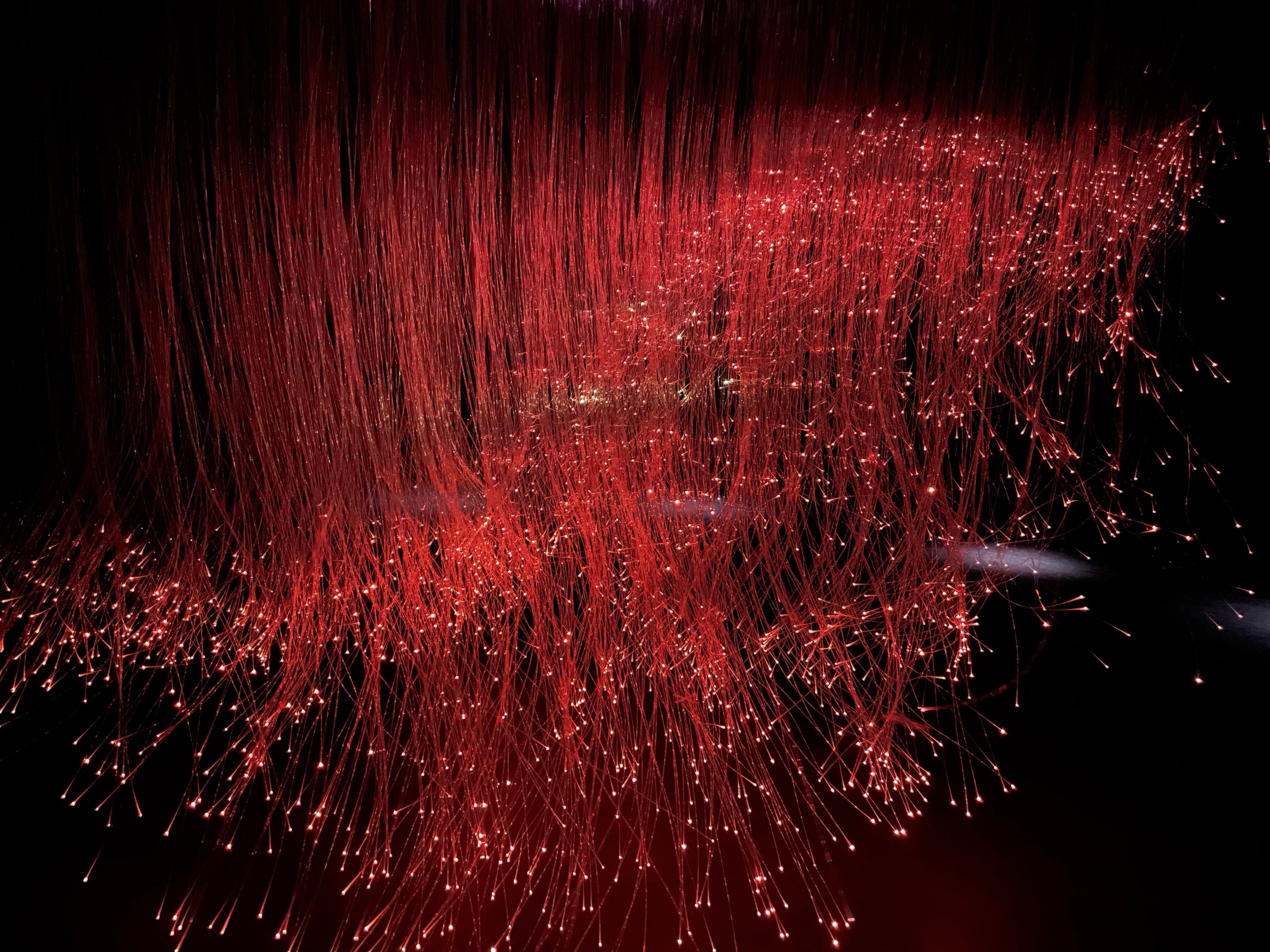 "Animate Field" - une installation immersive de sculptures lumineuses et sonores - Art de Justin Lui