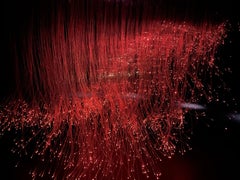 "Animate Field" - Un'installazione scultorea immersiva di luci e suoni