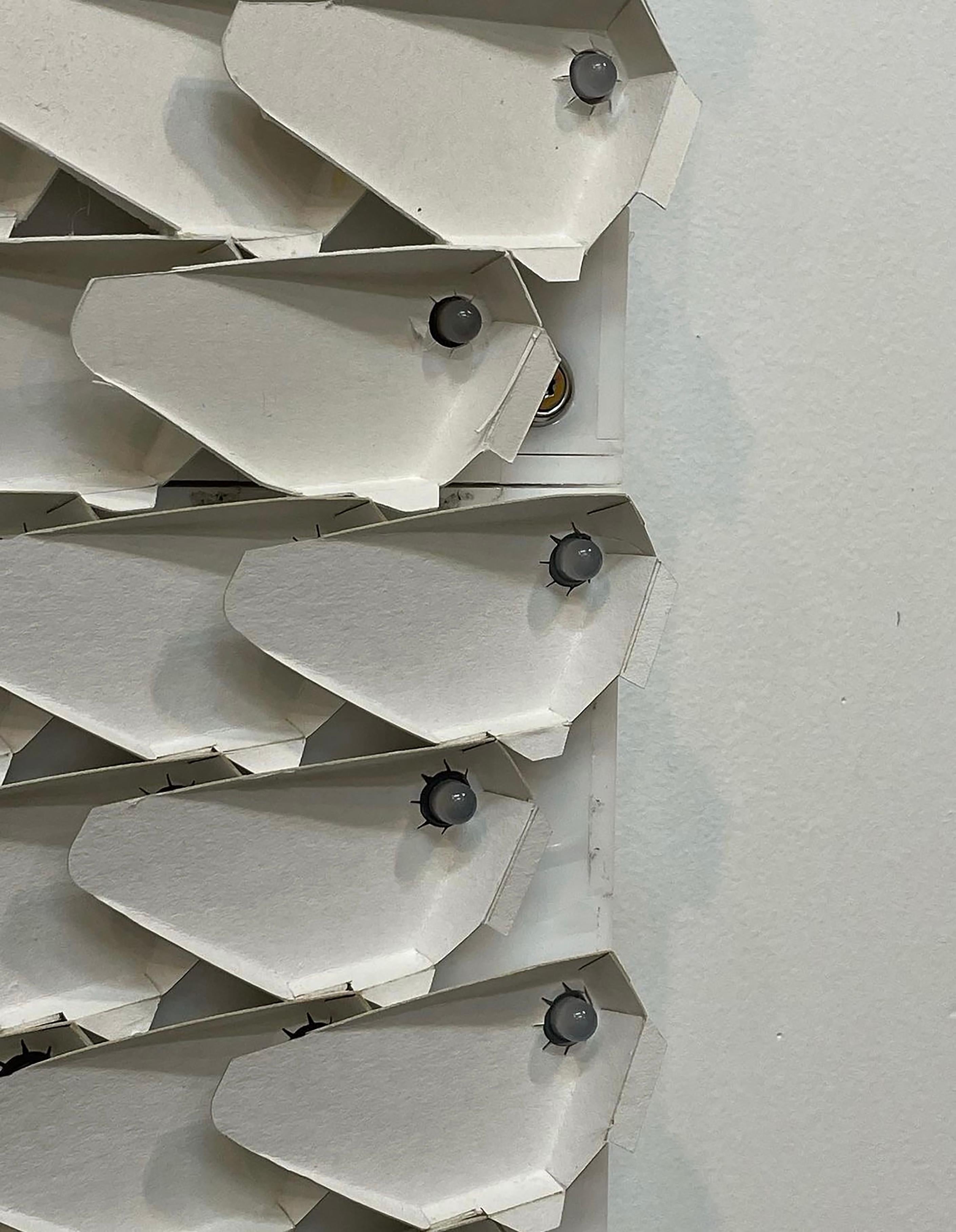 « Dragon Scales » - Sculpture lumineuse et vidéo en vente 17