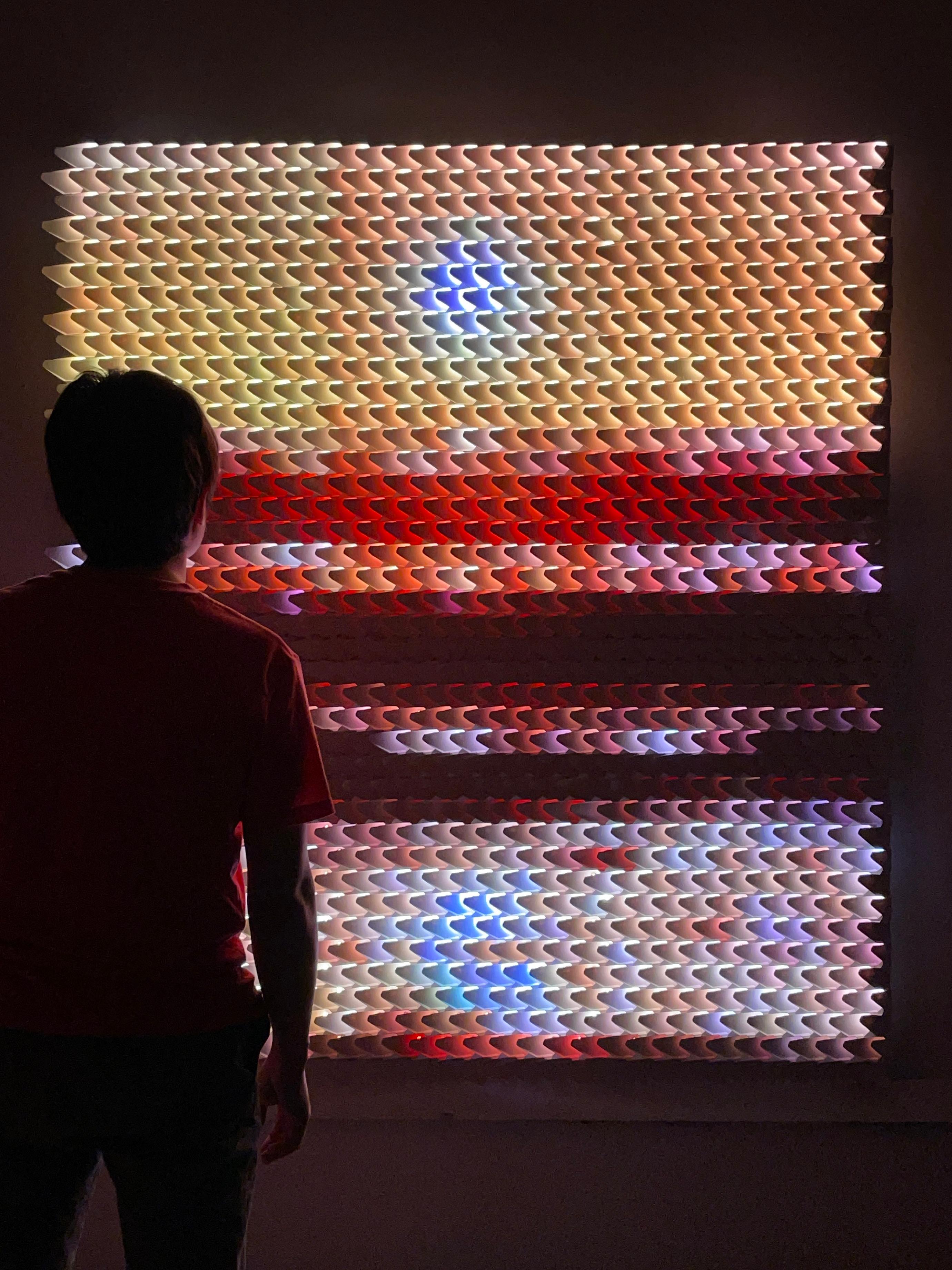 « Dragon Scales » - Sculpture lumineuse et vidéo en vente 10